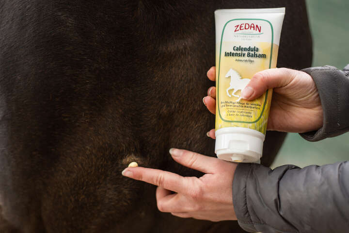ZEDAN Calendula Intensiv Balsam
